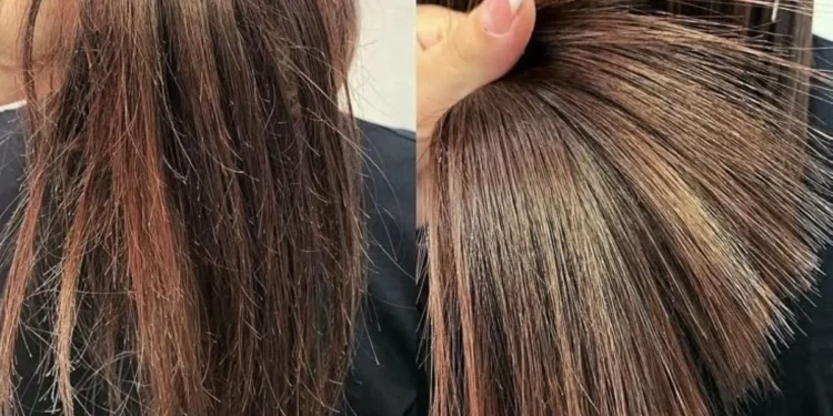 Cabelos saudáveis: dicas para manter seus fios bonitos e fortes 1 Transformação dos fios: cabelo com frizz versus cabelo saudável e brilhante