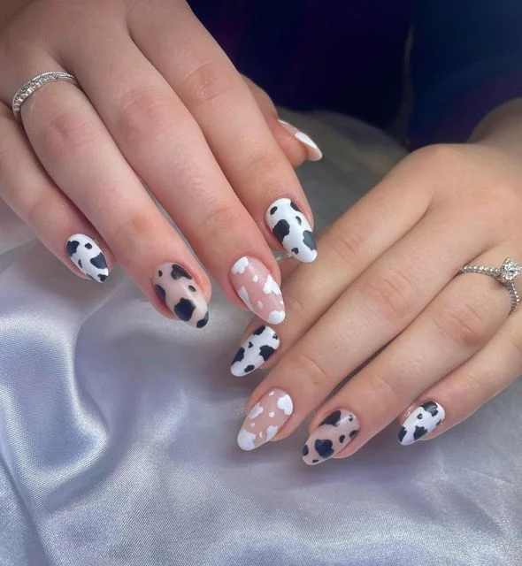 Unhas decoradas com estampa de vaquinha, com manchas pretas sobre fundo branco.