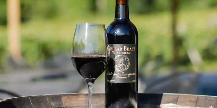 Garrafas e taça de Cabernet Sauvignon da Cellar Beast Winehouse com fundo natural de vinhedo.