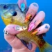 Tendência em alta: unhas de peixe são o novo hit fashion que você precisa conhecer 16 Unhas de peixe em destaque com uma mão segurando um peixe, com design de unhas criativas em formato de peixes coloridos.
